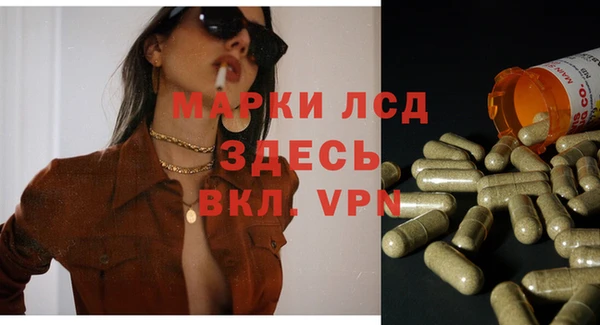 spice Верея
