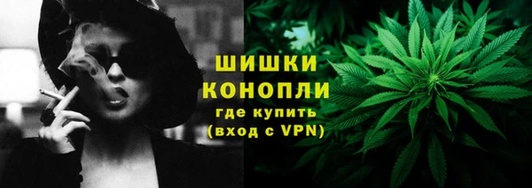 spice Верея