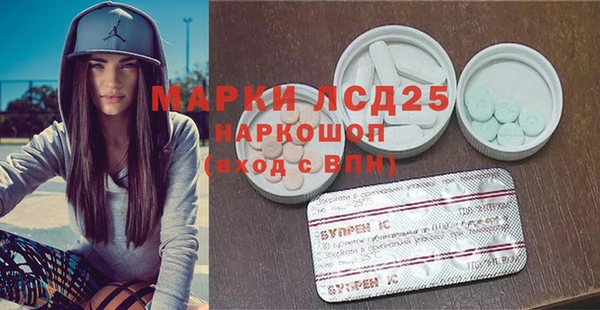 spice Верея
